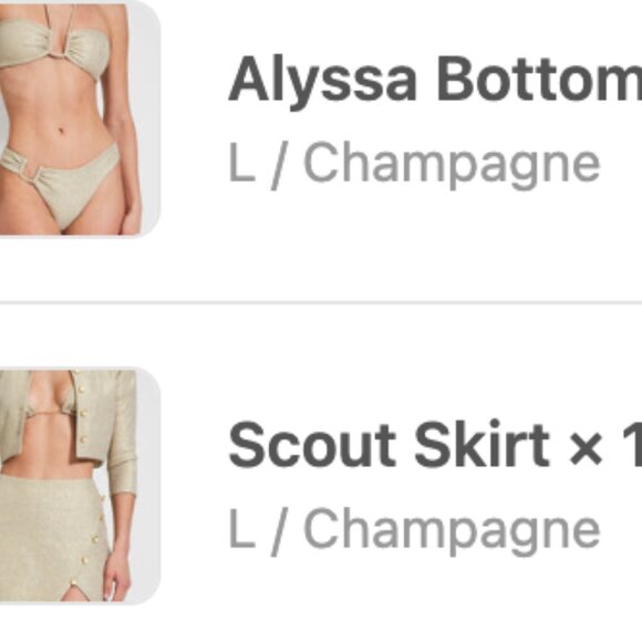 Devon Windsor Bikini Bundle - Picture 6 of 7